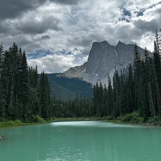 i don’t think that’s&nbsp;true