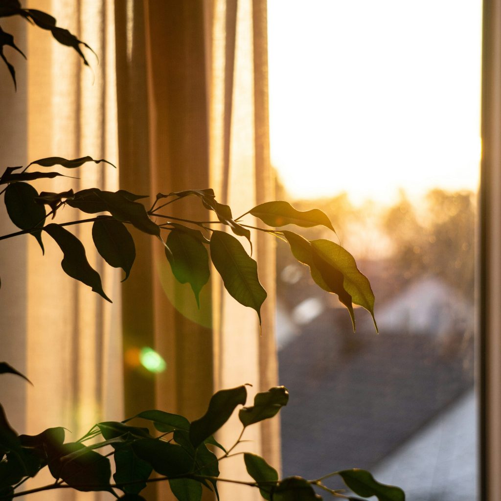 sundays like this,&nbsp;someday